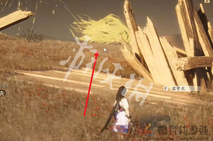 燕云十六声金沙川宝箱在哪(图29)